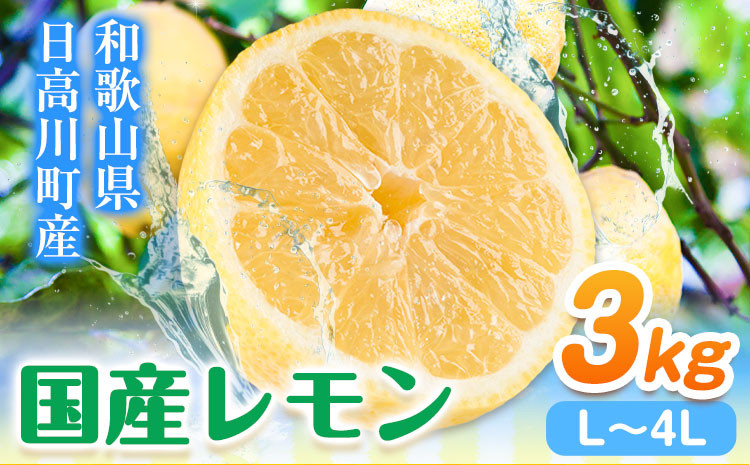 レモン国産レモン3kg(L〜4Lサイズ)ノーワックス減農薬どの坂果樹園[2月上旬-6月末頃出荷]れもん檸檬旬果物フルーツ柑橘産地直送送料---wsh_cdsk14_2j6m_24_10000_3kg---
