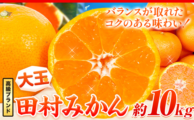 高級ブランド大玉サイズ田村みかん10kg株式会社魚鶴商店[11月下旬-2025年2月上旬頃出荷]柑橘フルーツ大玉---wsh_utstml_l112_23_18000_10kg---