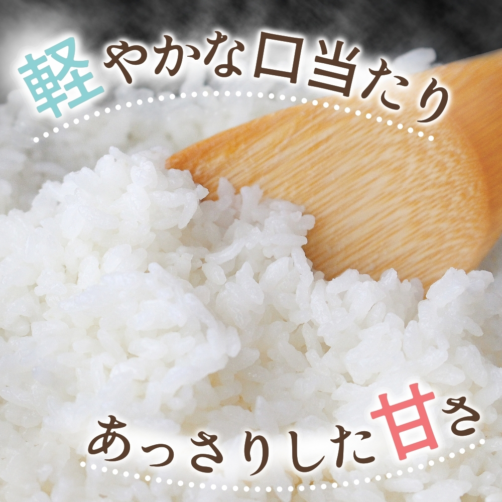 和歌山県産 キヌヒカリ 5kg（2025年産）令和7年産 ※2025年9月中旬より順次発送予定【sml101E】