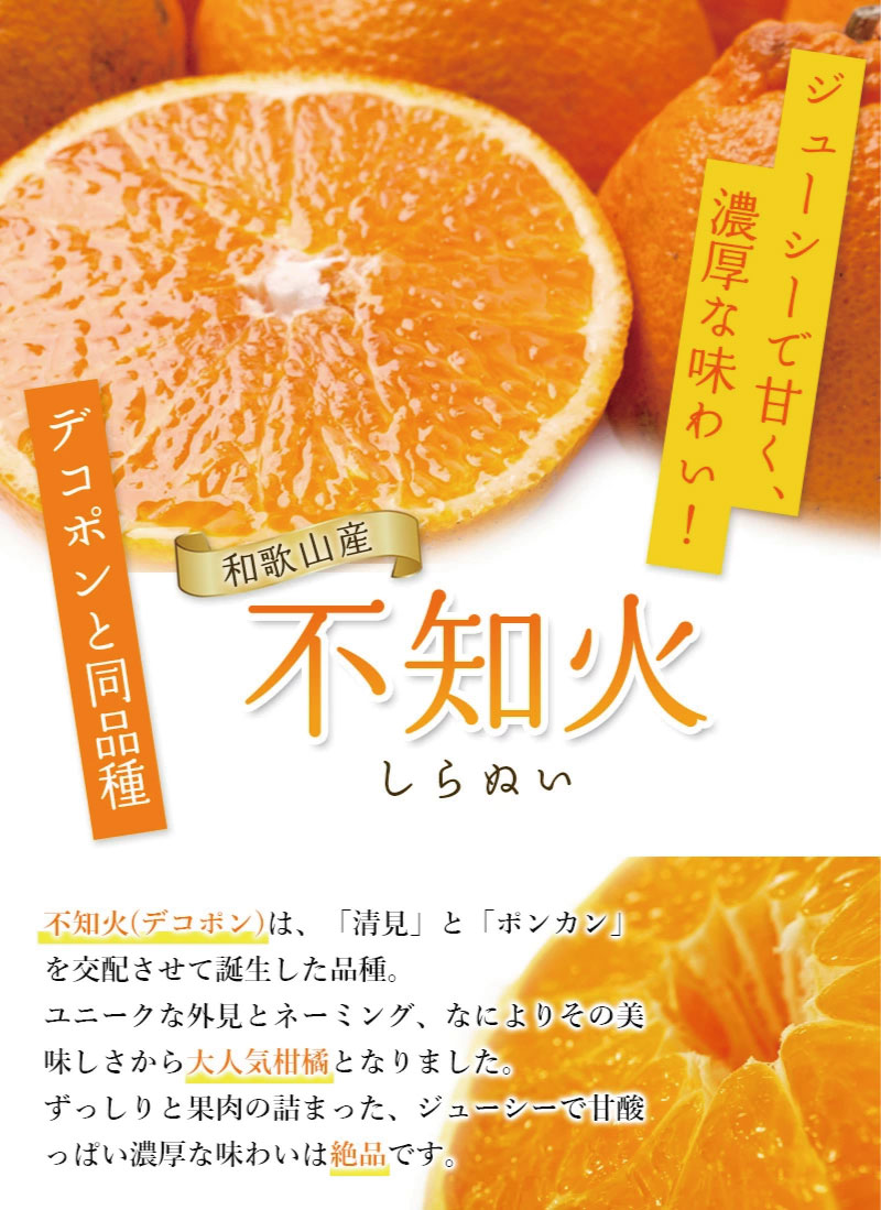 ＜先行予約＞家庭用不知火1kg+250g（傷み補償分）＜2月より発送＞ デコポンと同品種 人気の春みかん 訳あり わけあり 光センサー選別  みかん 果物 フルーツ デコポン 【ikd161C】