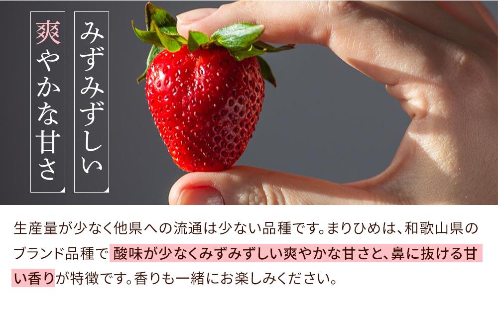 1月発送】和歌山県産ブランドいちご「まりひめ」約300g×4パック入り【