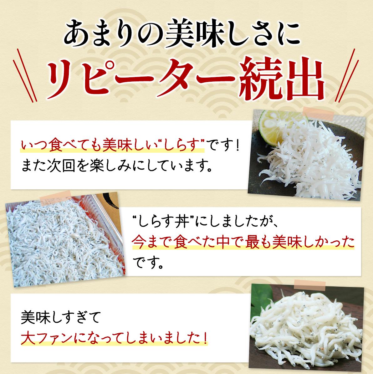特選 釜揚げしらす（500ｇパック入り×2つ） / シラス しらす丼 国産 冷蔵 プレミア和歌山認定 個包装 魚 お魚 さかな 食品 和歌山県 由良町【uoms001】
