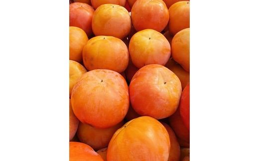 【ご家庭用わけあり】和歌山秋の味覚　富有柿　約７．５ｋｇ「2026年11月上旬頃～2026年12月上旬頃に順次発送予定」【UT47】【uot719A】