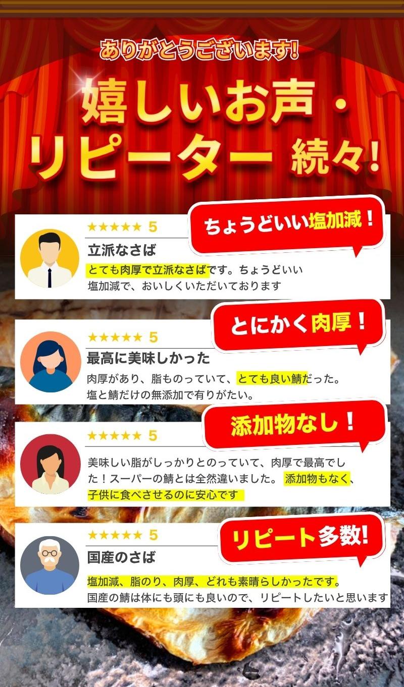 塩さばフィレ24枚入(真空パック入)【uot742B-1】