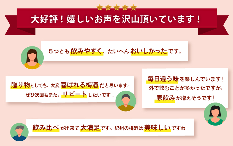 紀州の梅酒 飲み比べ5本セット（白・赤・蜂蜜・黒糖・樽）梅酒 梅 紀州南高梅 酒 お酒 飲み比べ リキュール 和歌山 果実酒 アルコール お湯割り 水割り ロック ストレート  晩酌【mtgn109A】