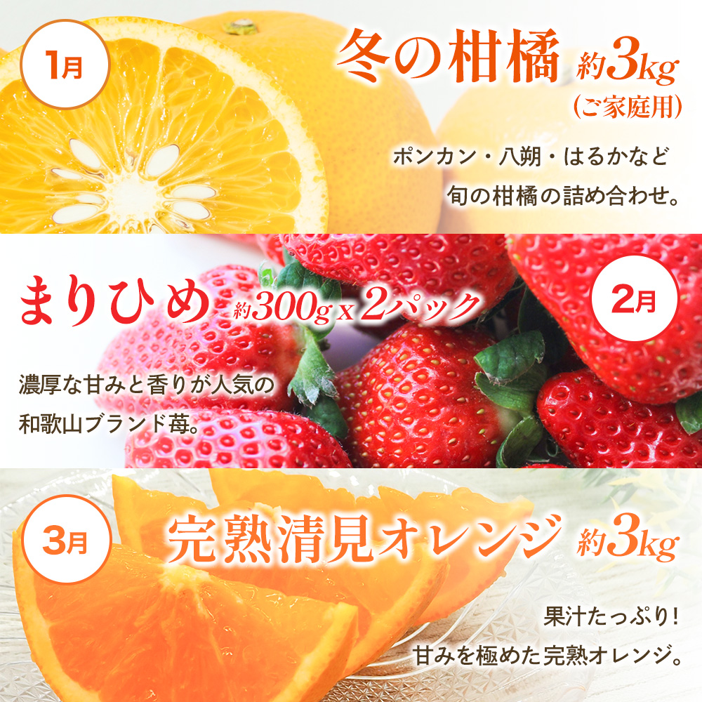 わかやま旬のくだもの定期便　全12回【Ｓ】※北海道・沖縄・離島への配送不可 （配送日時指定不可） / 定期便 フルーツ みかん いちご イチゴ 清見オレンジ セミノール 河内晩柑 カラマンダリン すいか 桃 ジュース 柿 柑橘 12回 和歌山【ard-tkb901A】