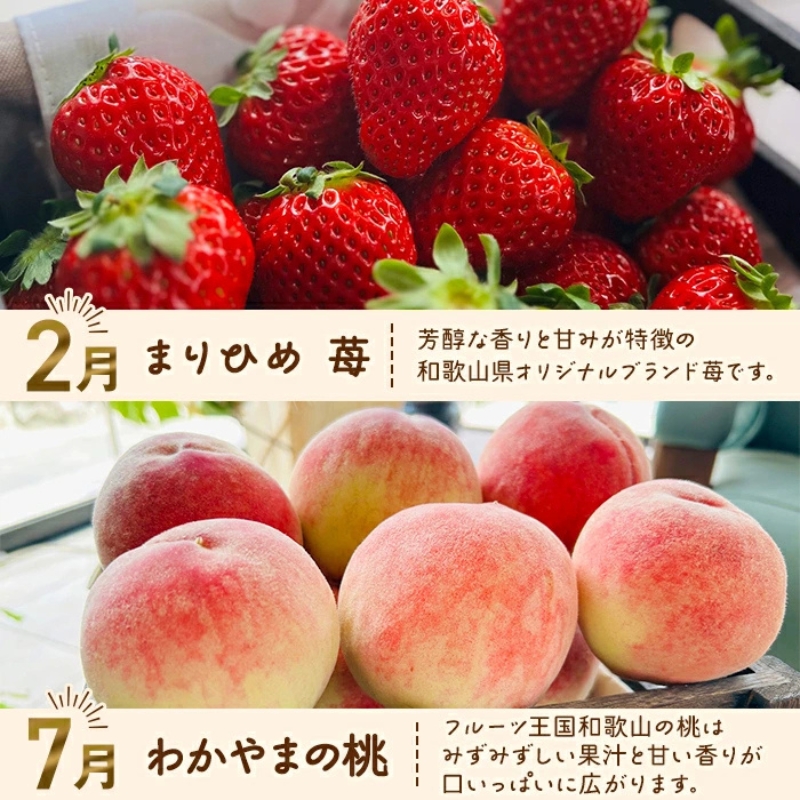 わかやま旬のフルーツ定期便【S】 全4回 ※北海道・沖縄・離島への配送不可（配送日時指定不可） / ミカン 有田みかん まりひめ いちご 桃 フルーツ 果物 柿 和歌山【ard-tkb910】