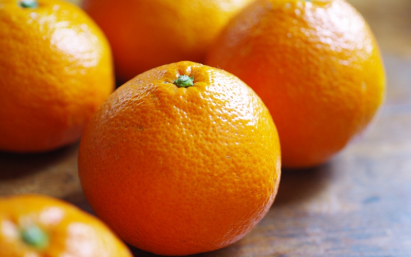 【来シーズン先行予約】伊予柑 和歌山みかん 秀品 10kg 贈答用 ※2026年1月中旬頃に順次発送予定 / いよかん 柑橘 贈り物 フルーツ 果物 くだもの 食品 人気 おすすめ 送料無料 由良町 【ksmt017】