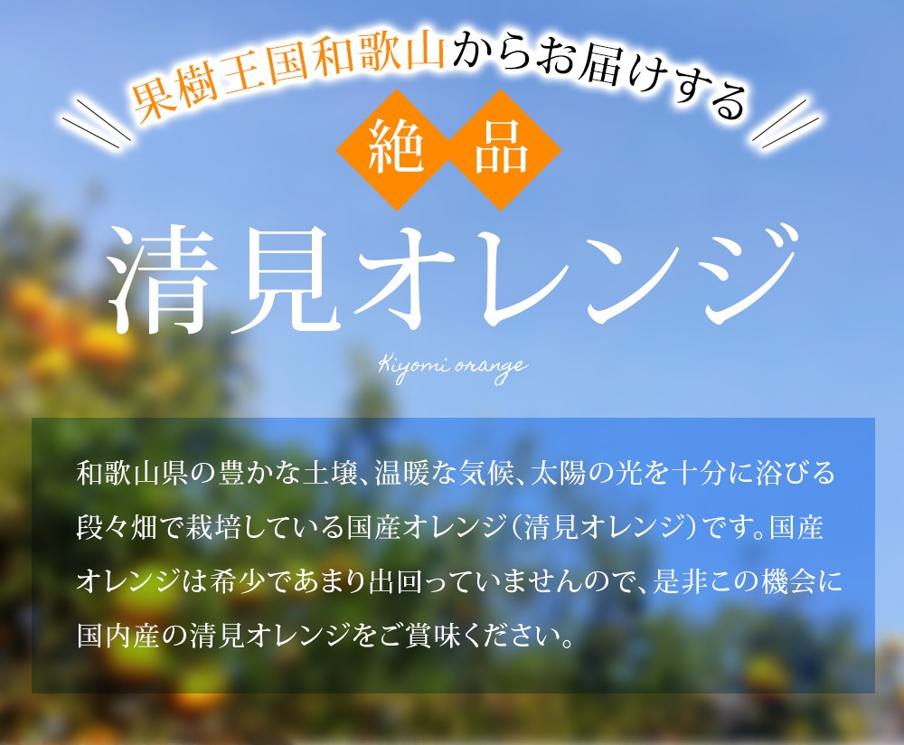 【家庭用】 森本農園の手選別 清見オレンジ 約1.5kg 和歌山県産 サイズ混合 ※2026年2月上旬～5月中旬頃に順次発送 / 柑橘 ご家庭用 期間限定 由良町 果物 フルーツ 和歌山県【mrmt021A】