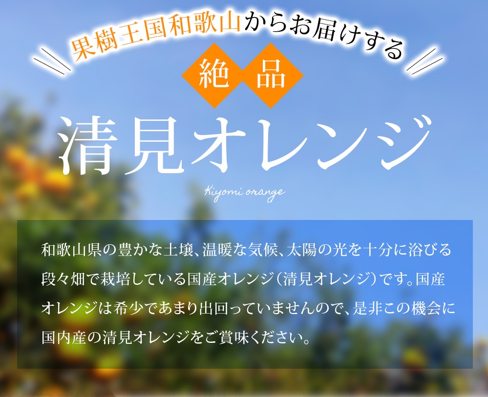 【訳あり】 森本農園の手選別 清見オレンジ 約2kg 和歌山県産 サイズ混合 ※2026年2月上旬～5月中旬頃順次発送 / 清見 きよみ オレンジ 柑橘 期間限定 由良町 果物 フルーツ 和歌山県【mrmt023A】