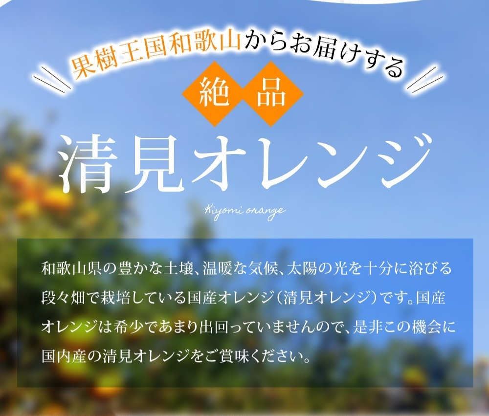 【家庭用】 森本農園の手選別 清見オレンジ 約6kg 和歌山県産 サイズ混合 ※2026年2月上旬～5月中旬頃に順次発送 / 柑橘 ご家庭用 期間限定 由良町 果物 フルーツ 和歌山県【mrmt038A】