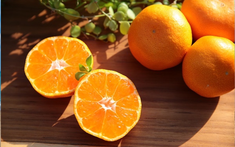 【先行予約】松兵衛みかん 5ｋｇご家庭用 ※2025年10月下旬頃～2026年1月上旬頃に順次発送予定 / 和歌山県 柑橘 みかん 甘い 蜜柑 フルーツ 果物 くだもの 食品 人気 晩柑 おすすめ 送料無料 産地直送 由良町【nus001】