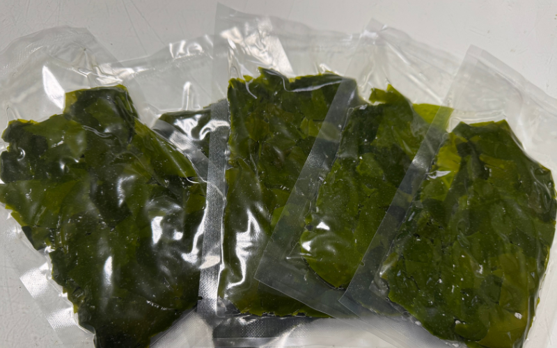 冷凍わかめ 100g×5袋【令和7年度産】 / 食品 海の幸 海鮮 小分け カイセン海鮮類 ワカメ 冷凍ワカメ 酢の物 サラダ 簡単調理 お味噌汁 冷凍 和歌山県 由良町 【skmn030】