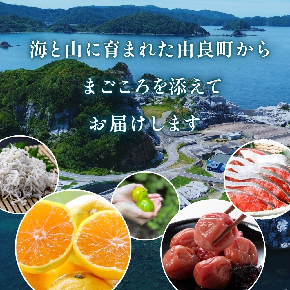 【ふるさとギフト】 あとからセレクト 【70万円】/ 選べる金額 みかん まぐろ 梅干し 梅酒 牛肉 しらす こめ油 海鮮 柑橘 フルーツ 訳あり 駆け込み 和歌山 由良町【atokara021】