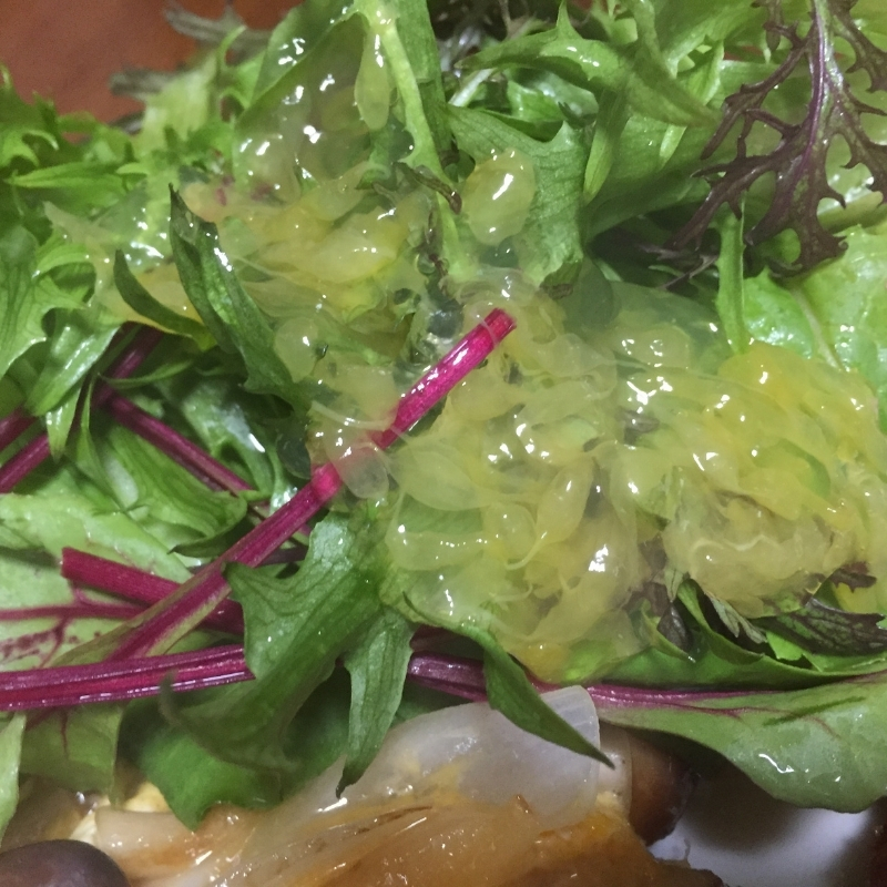 つぶつぶが綺麗で美味しい「八朔ドレッシング」200g×11本【fmlb040】