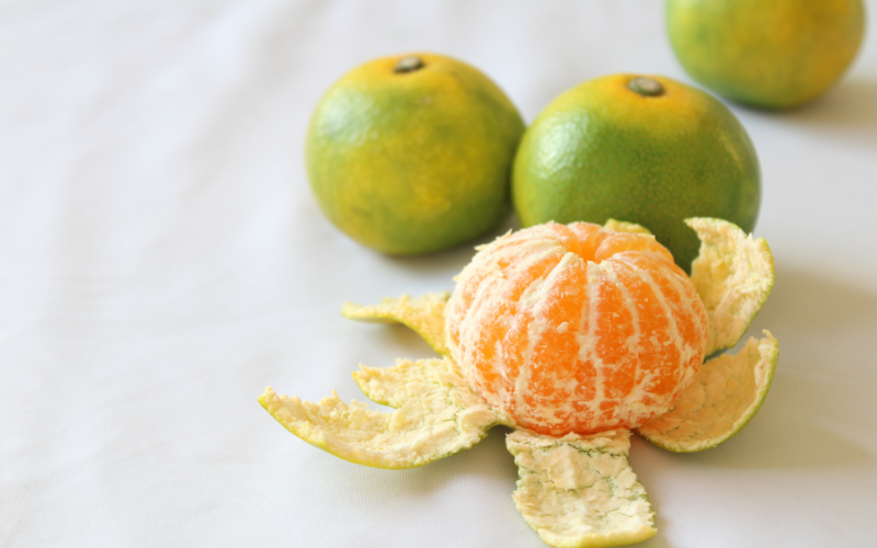 ＼光センサー選別／ 【先行予約】＼数量限定／ 希少品種 ご家庭用 ゆら早生みかん 約4kgサイズ混合【2025年10月上旬頃より順次発送】/ みかん ミカン 和歌山県 柑橘 早生 甘い 蜜柑 フルーツ 果物 くだもの 食品  産地直送  ご家庭用 ゆら早生 早生みかん【nuk162B】