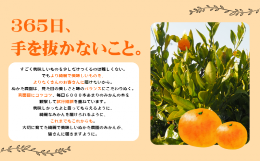 【2025年秋頃発送予約分】こだわりの青切りみかん　約2kg 有機質肥料100%　 サイズ混合　※2025年9月下旬より順次発送予定（お届け日指定不可）/  みかん 和歌山県 柑橘 ミカン 甘い 蜜柑 フルーツ 果物 くだもの 食品 送料無料 産地直送 【nuk169A】