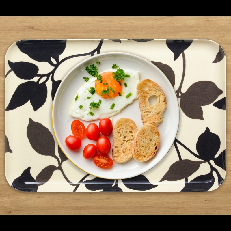 タツクラフト NRトレー M 33cm リーフ 2枚組 【Tk158】【ttcf035】