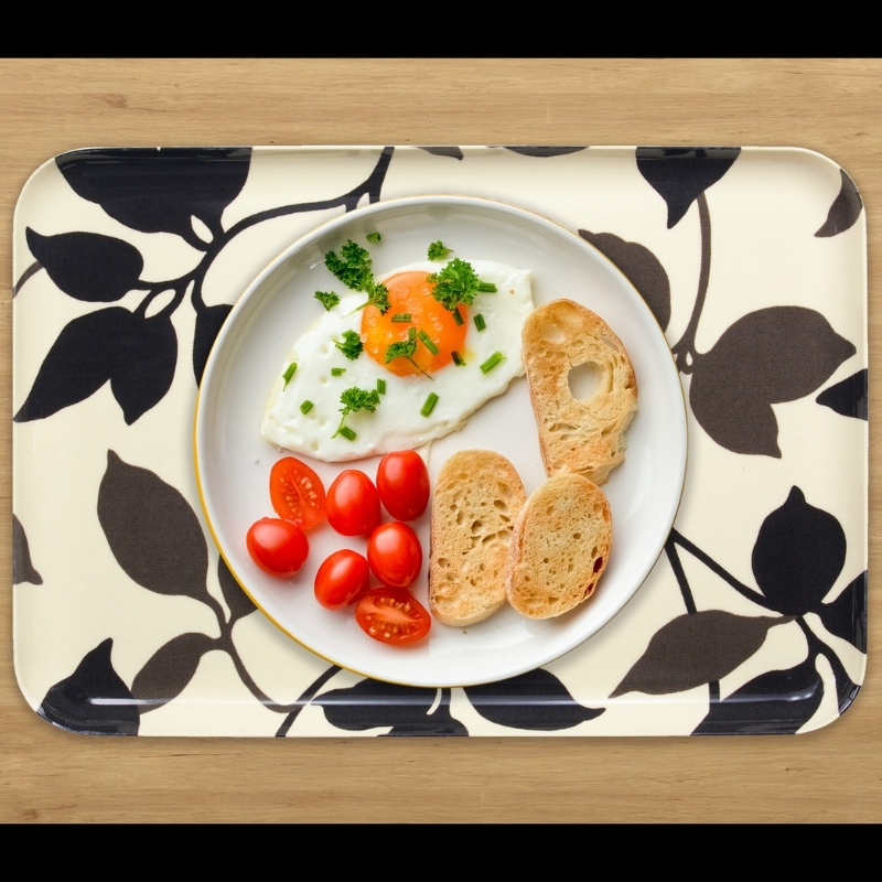 タツクラフト SRトレー L 39cm リーフ 2枚組 【Tk230】【ttcf054】