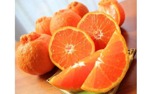 紀州有田産不知火(しらぬひ) 約5kg【2026年2月中旬以降発送】【先行予約】【UT40】【uot709A】