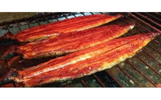 大型サイズふっくら柔らか国産うなぎ蒲焼き 約2人前【化粧箱入】【uot714A】