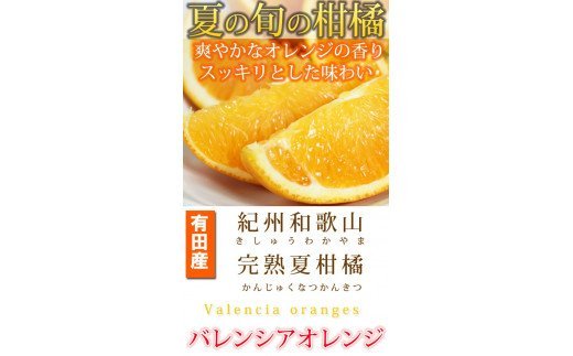 秀品 希少な国産バレンシアオレンジ 2.5kg【2025年6月下旬頃～2025年7月上旬頃に順次発送】【UT75】【uot809】