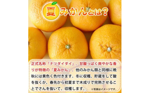 夏みかん 7.2kg【2026年4月中旬頃～2026年4月下旬頃に順次発送予定】【先行予約】【UT73】【uot775】