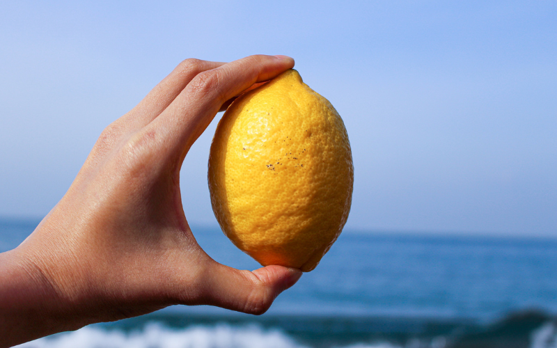 【来シーズン先行予約】和歌山県産完熟レモン（2kg・大小混合）皮まで使用可能！【2026年1月中旬より順次発送予定】 / れもん ノーワックス 柑橘 産地直送 由良町 和歌山【uttn017】