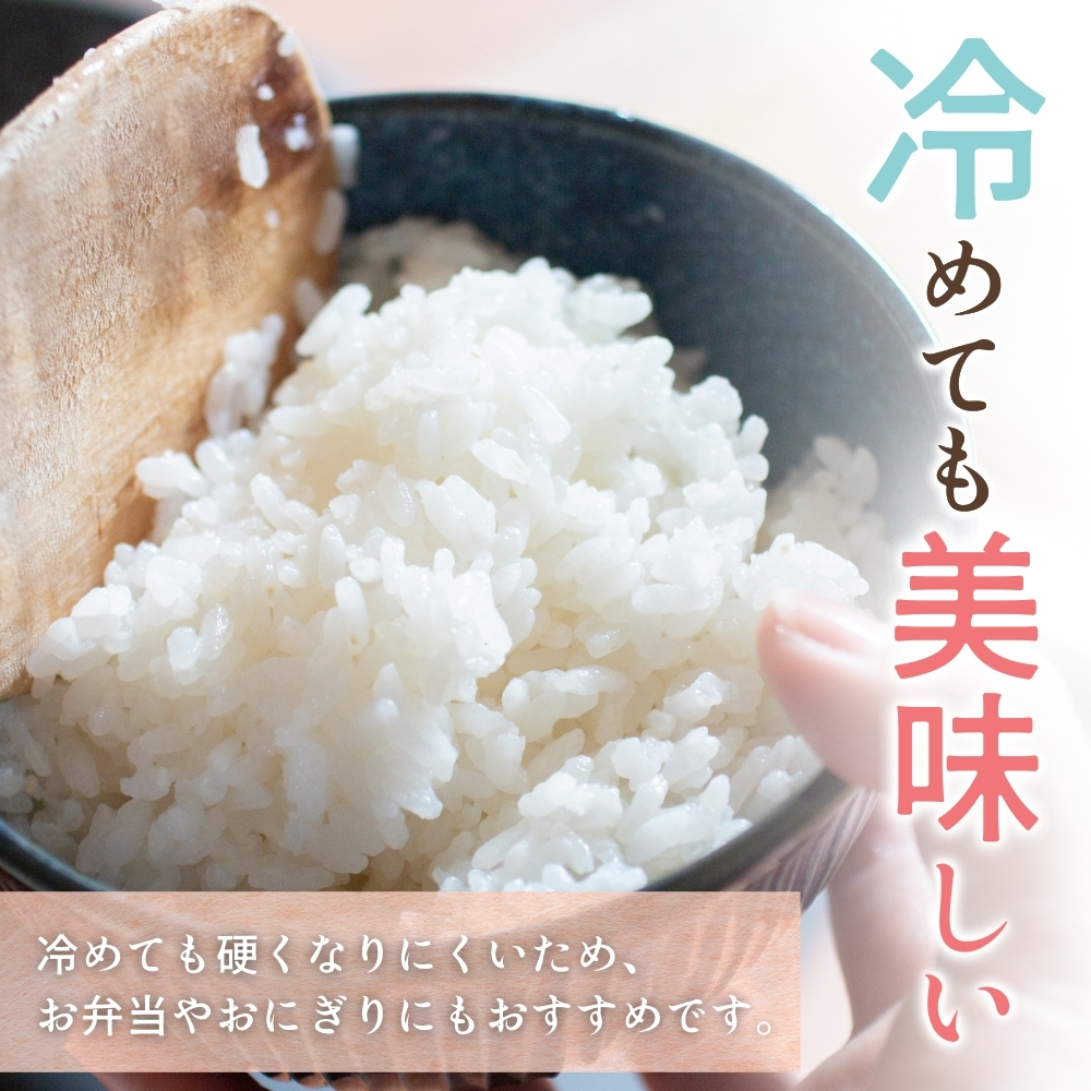 和歌山県産 キヌヒカリ 5kg（2025年産）令和7年産 ※2025年9月中旬より順次発送予定【sml101E】