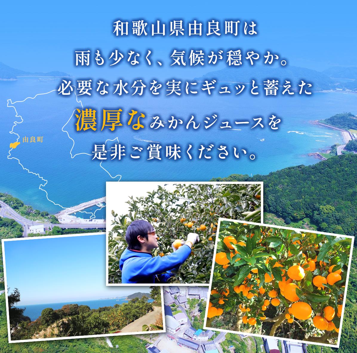 みかんジュース1000ml×05本 「ゆら絞り みかん」 安心。 お子さんにぜひ【fmlb021】