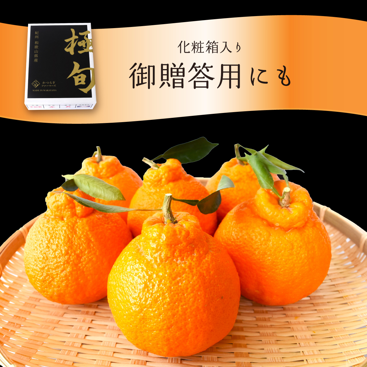 【贈答用化粧箱入】 不知火 樹上完熟 約2kg （5～8個入）【2026年2月中旬頃から発送】【KG10】【kgr014】