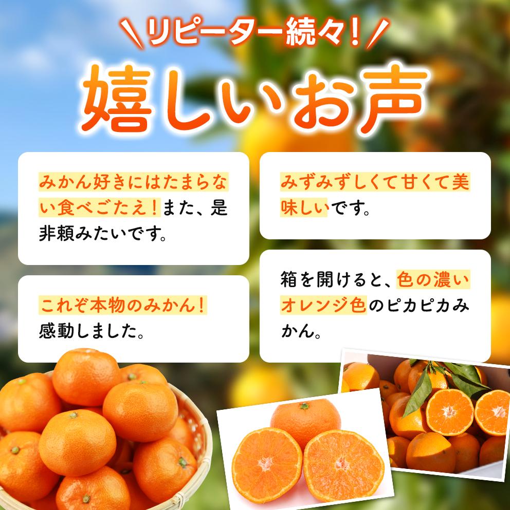 【先行予約】ゆらみかん 9kg 温州みかん 和歌山県由良町産［2025年12月10日～25日発送予定］【kzmn017】