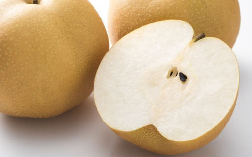 和歌山県産の梨約2kg(品種おまかせ)★2026年8月下旬頃より順次発送【TM181】【tec925C】