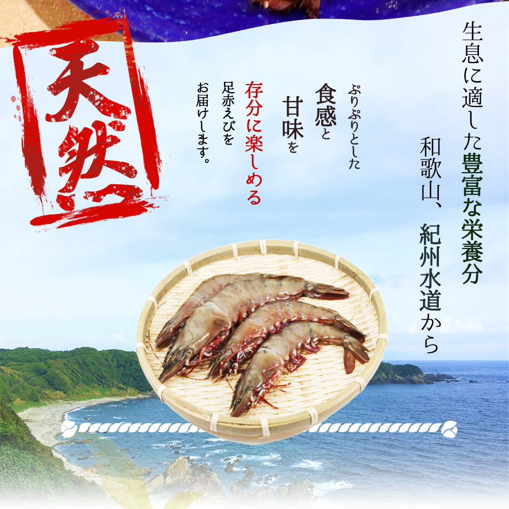 紀州和歌山産天然足赤えび540g×2箱（270g×4パック）　化粧箱入【2025年11月末頃から2026年2月上旬頃に順次発送】【UT24】【uot773A】