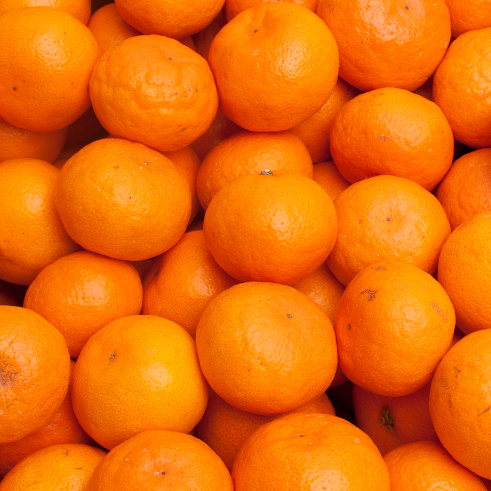 ＜先行予約＞＜11月より発送＞ プレミアム有田みかん2.5kg+250g（傷み補償分）(完熟)/ みかん 有田みかん 有田 ミカン 果物 フルーツ 柑橘【ikd005D】