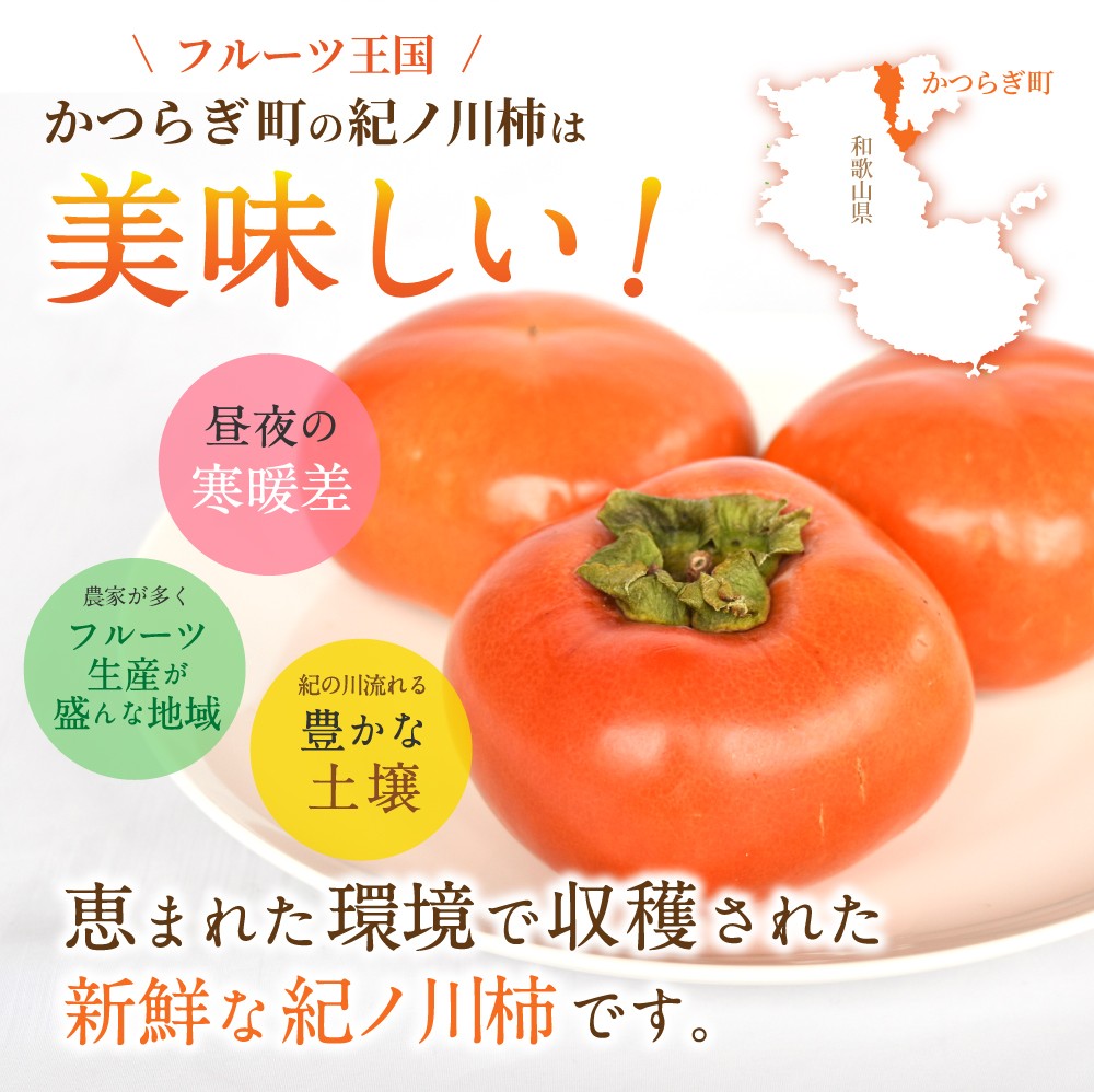 【2026年発送】 紀の川柿 （果実の中身が黒い！黒蜜柿）希少栽培！ 秀品６個～９個 こだわり農家厳選！【※2026年10月上旬から11月上旬頃発送】/ 和歌山県 かつらぎ町 カキ 柿 太秋柿 紀ノ川柿 富有柿 早秋柿 秀品 紀の川柿 かき フルーツ 旬 秋 【kgr044】