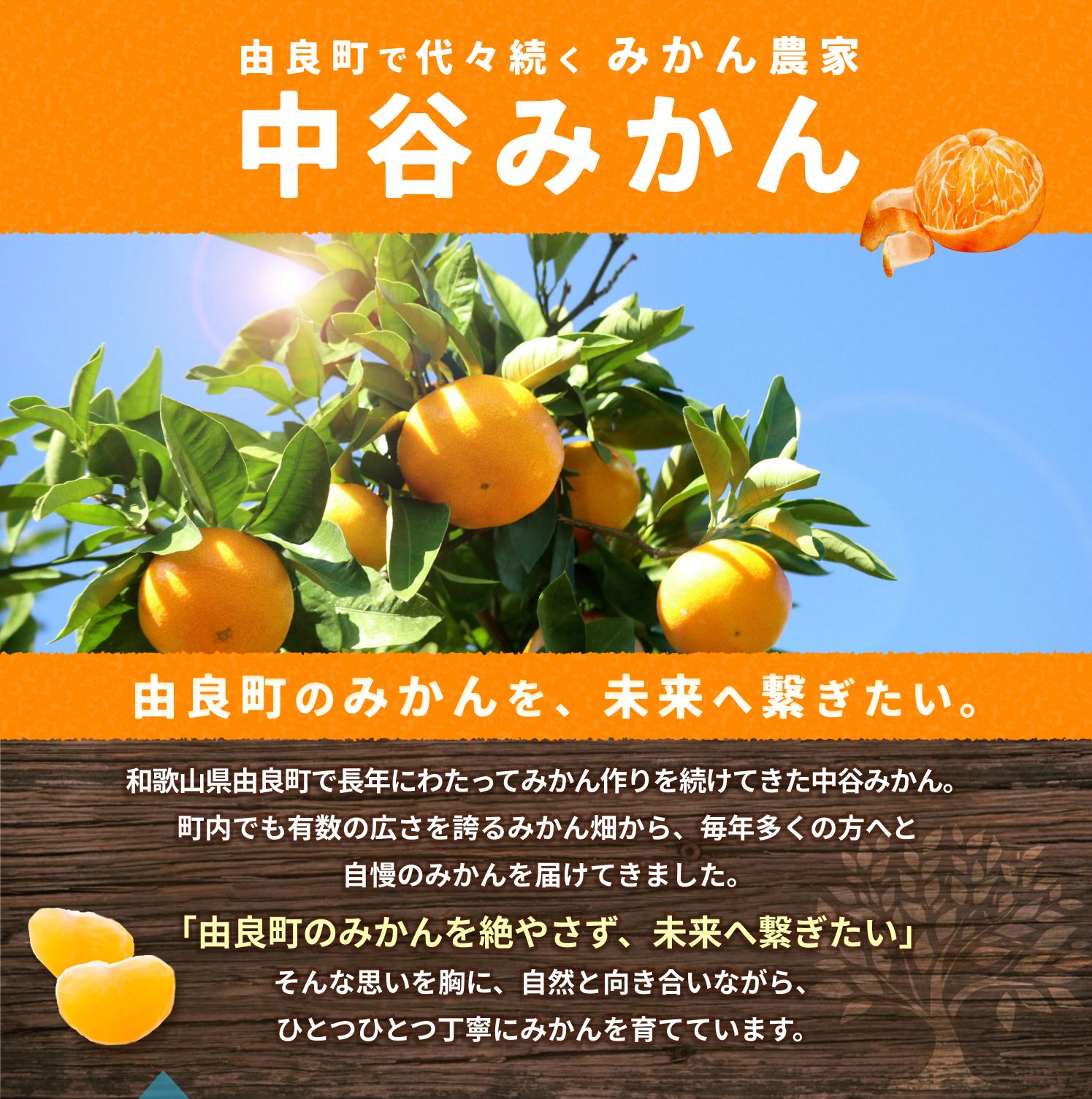 農家直送！ 温州みかん 約2kg 2S～2Lサイズ混合 ※2025年12月上旬頃～順次発送【nktn015-12】
