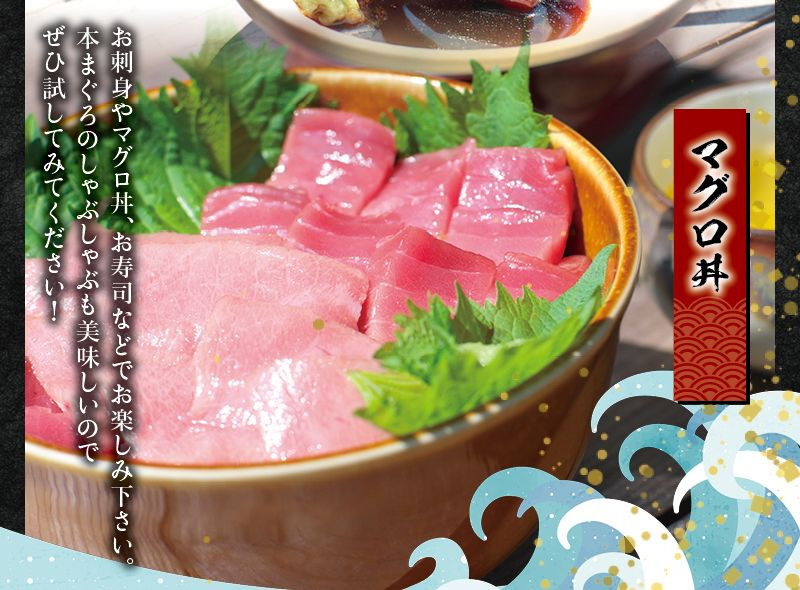 プレミア和歌山認証品 本マグロ（養殖）トロ＆赤身セット　500g【nks110D】