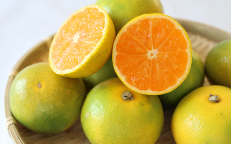 ＼光センサー選別／ 【先行予約】＼数量限定／ 希少品種 ご家庭用 ゆら早生みかん 約4kgサイズ混合【2025年10月上旬頃より順次発送】/ みかん ミカン 和歌山県 柑橘 早生 甘い 蜜柑 フルーツ 果物 くだもの 食品  産地直送  ご家庭用 ゆら早生 早生みかん【nuk162B】