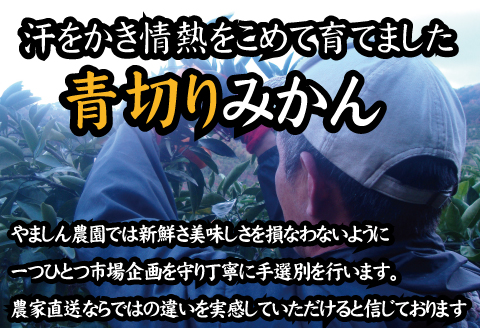 【2025年秋頃発送予約分】こだわりの青切りみかん　約2kg 有機質肥料100%　 サイズ混合　※2025年9月下旬より順次発送予定（お届け日指定不可）/  みかん 和歌山県 柑橘 ミカン 甘い 蜜柑 フルーツ 果物 くだもの 食品 送料無料 産地直送 【nuk169A】