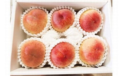 紀州和歌山産の桃　約1．8kg 化粧箱入【2026年6月下旬より順次発送】【UT52】【uot720-2】