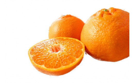 果肉ぷりぷり!完熟はるみ　５ｋｇ【2026年2月中旬頃～2026年2月下旬頃に順次発送】【UT22】【uot860】