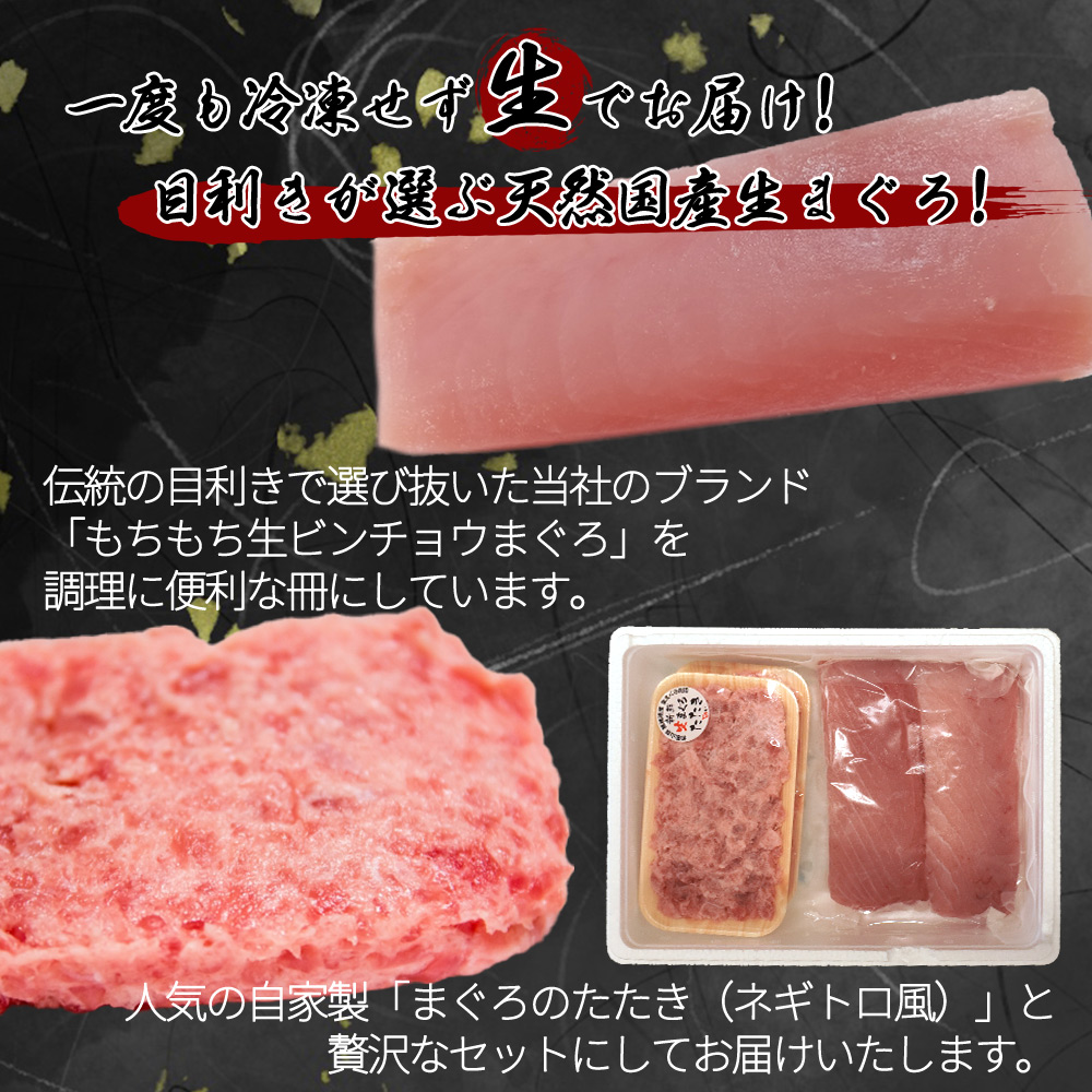 那智勝浦直送！天然もちもち生ビン長まぐろとたたきセット 4人前【UT100】【uot805】