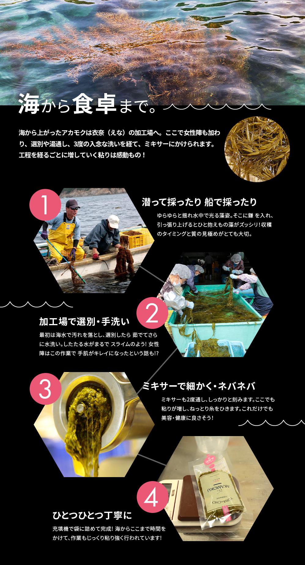 紀州あかもく［由良町産］100g×10パック（2025年産）あかもくアカモク 個包装 真空パック 健康 美容 朝ごはん 腸活 海鮮 海藻 かいそう 海鮮 魚介類 小分け 個包装 水産 ミネラル 食物繊維 ヘルシー スーパーフード 海鮮丼 冷奴 サラダ 味噌汁【sml103E】