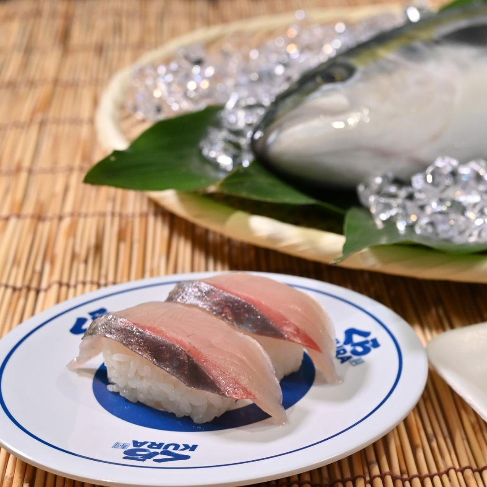 【くら寿司】オーガニック はまち 1尾 フィレ（カマなし）約2.1kg～2.4kg / ハマチ 丸ごと 刺身 数量限定 期間限定 ※2026年1月上旬～2026年4月末まで順次発送【kura003A】