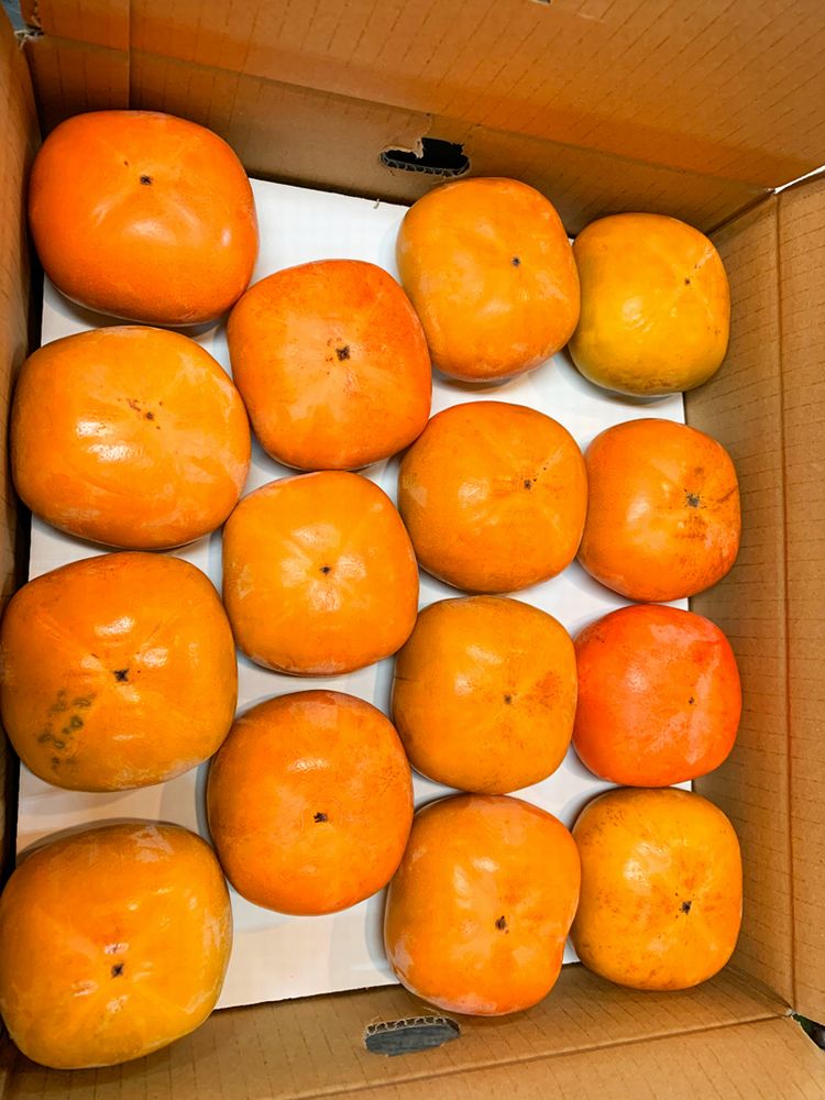 【2026年発送分予約】平核無柿（ひらたねなしがき）約７.５kg　和歌山秋の味覚【uot700A】※2026年10月上旬頃〜11月上旬頃順次発送（お届け日指定不可）