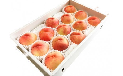秀品紀州和歌山産の桃約4kg化粧箱入【2026年6月下旬より順次発送】【UT106】【uot723A】