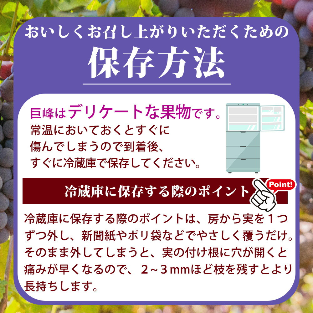 巨峰ぶどう約2kg　紀州和歌山産【2025年8月下旬以降発送予定】【UT88】【uot784A】