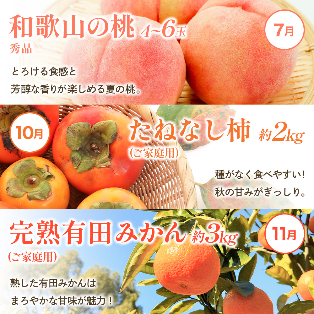 わかやま旬のくだもの定期便　全6回【Ｓ】※北海道・沖縄・離島への配送不可 （配送日時指定不可） / 定期便 フルーツ いちご イチゴ 清見オレンジ すいか 桃 柿 みかん 6回 和歌山【ard-tkb900A】
