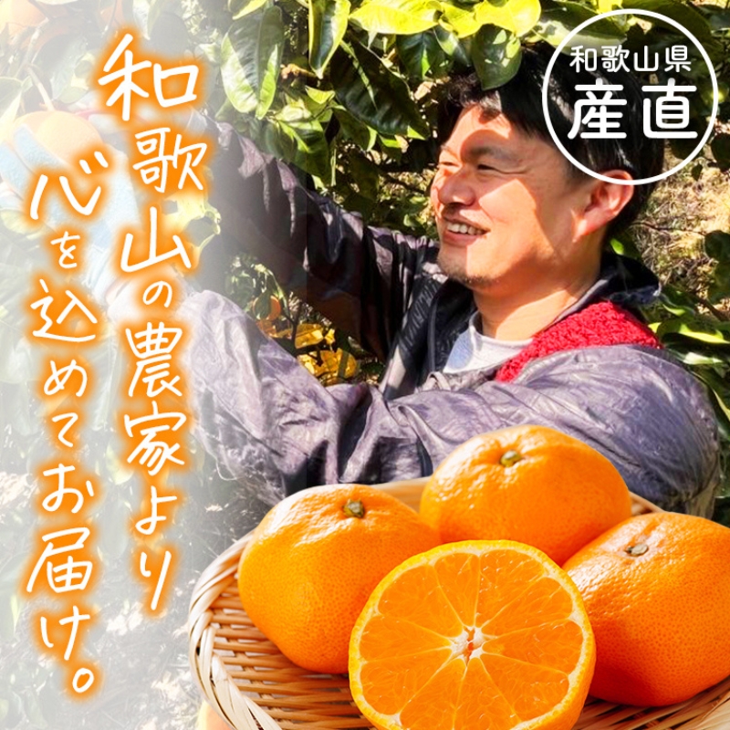 わかやま旬のフルーツ 定期便【L】全4回 ※北海道・沖縄・離島への配送不可 （配送日時指定不可） / ミカン 有田みかん まりひめ いちご 桃 フルーツ 果物 柿 和歌山【ard-tkb911】